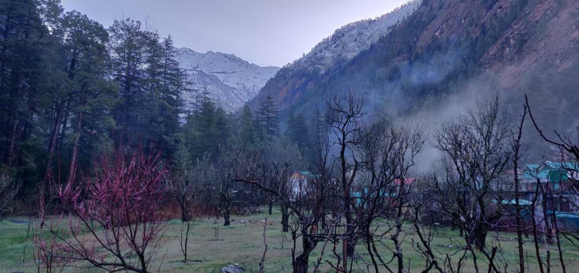 The Royal Orchard Kasol Hotel Bagian luar foto